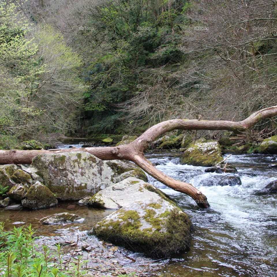 Water, Nature, River, Stream, Rock