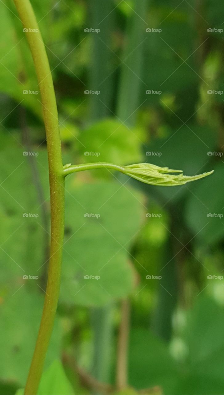 the hand that is begging