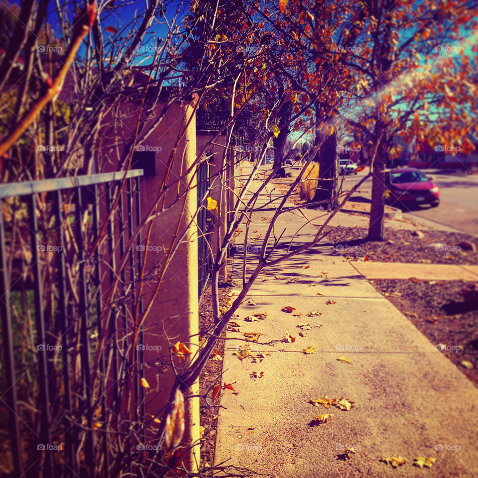 Shot in downtown Colorado Springs using an IPhone 5s and edited using exclusively Instagram's native editor.