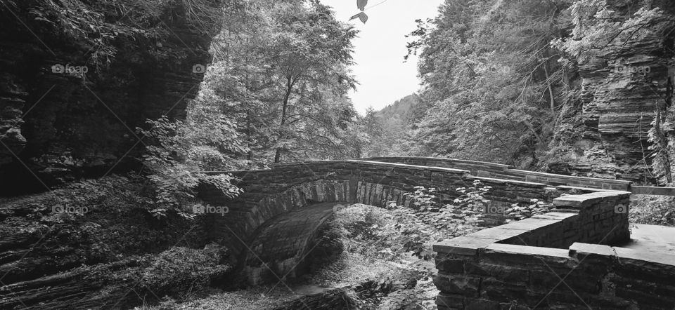 Mountain bridge by the Lucifer Falls at Ithaca National Park