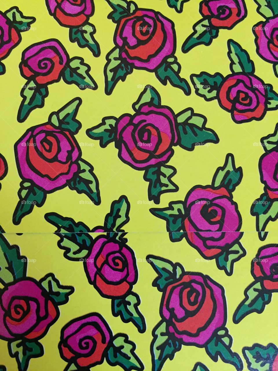Fuchsia Roses. Roses in yellow background