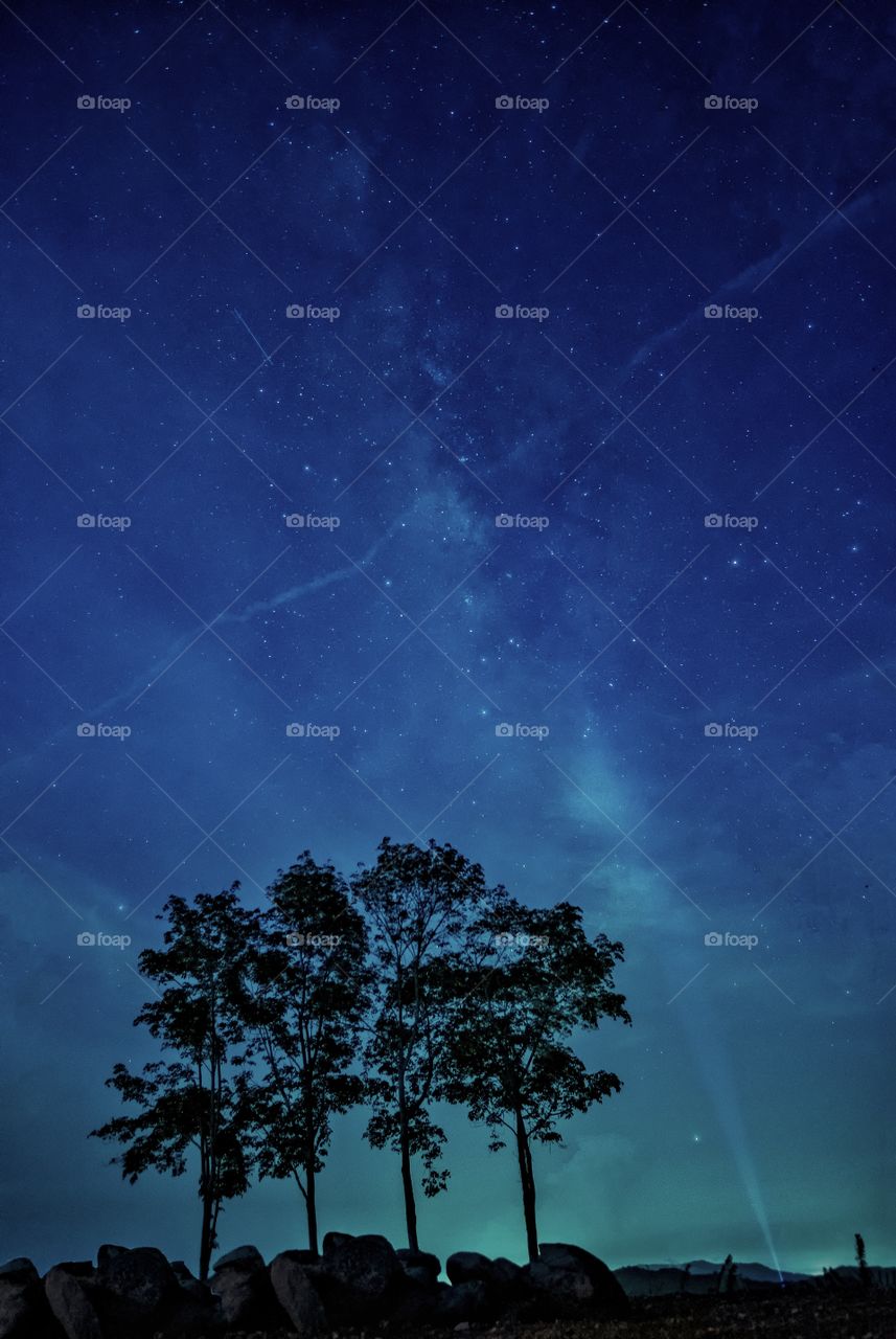 Beauty milky way scene above silhouette of tree