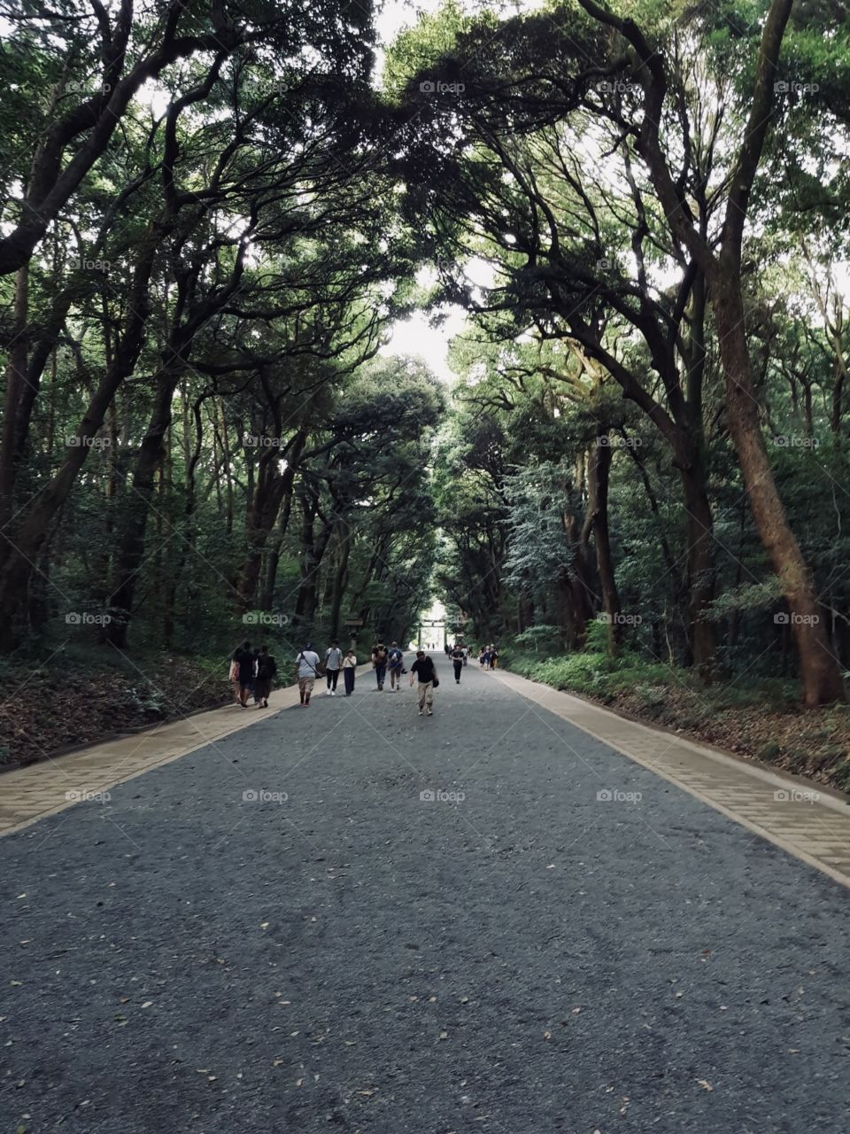 Amazing footpath😍