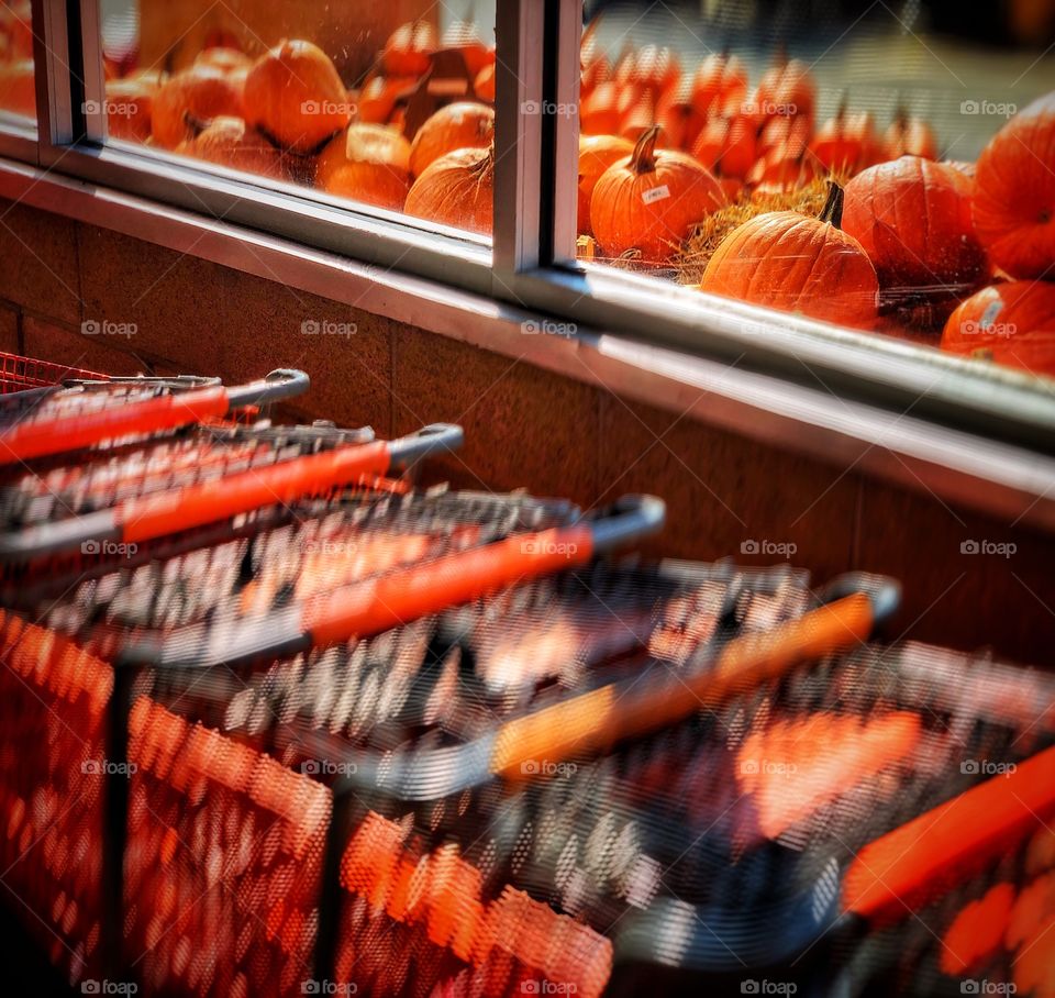 Pumpkin season 