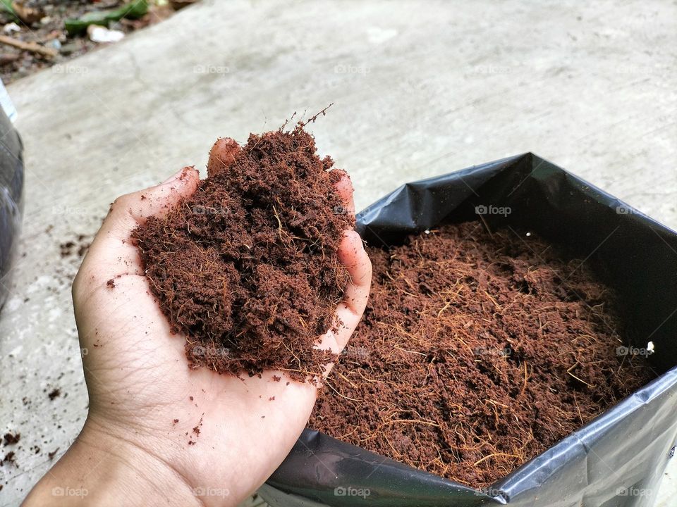 cocopeat which is ready to be used for planting media
