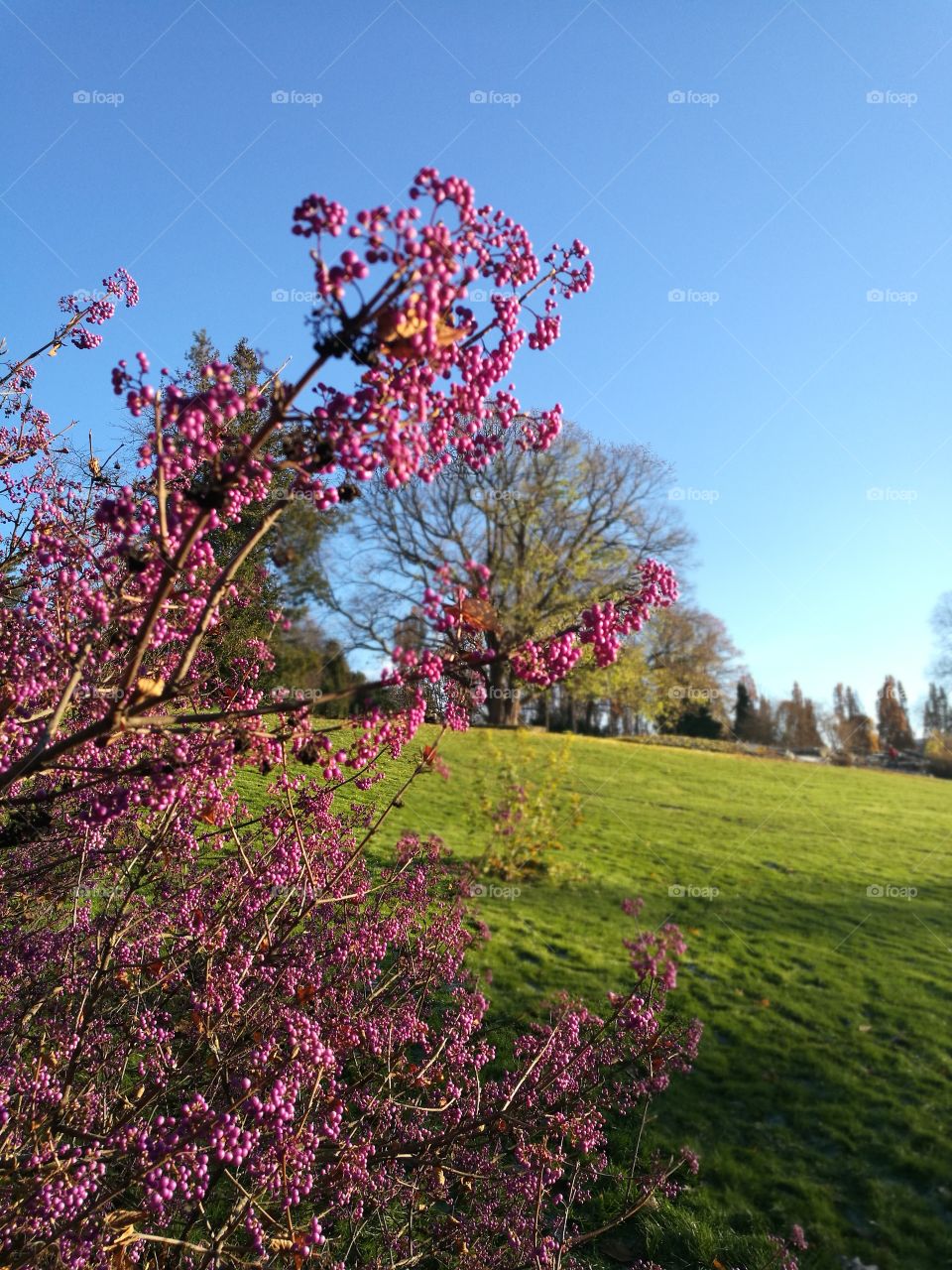 Botanical gardens, Oslo