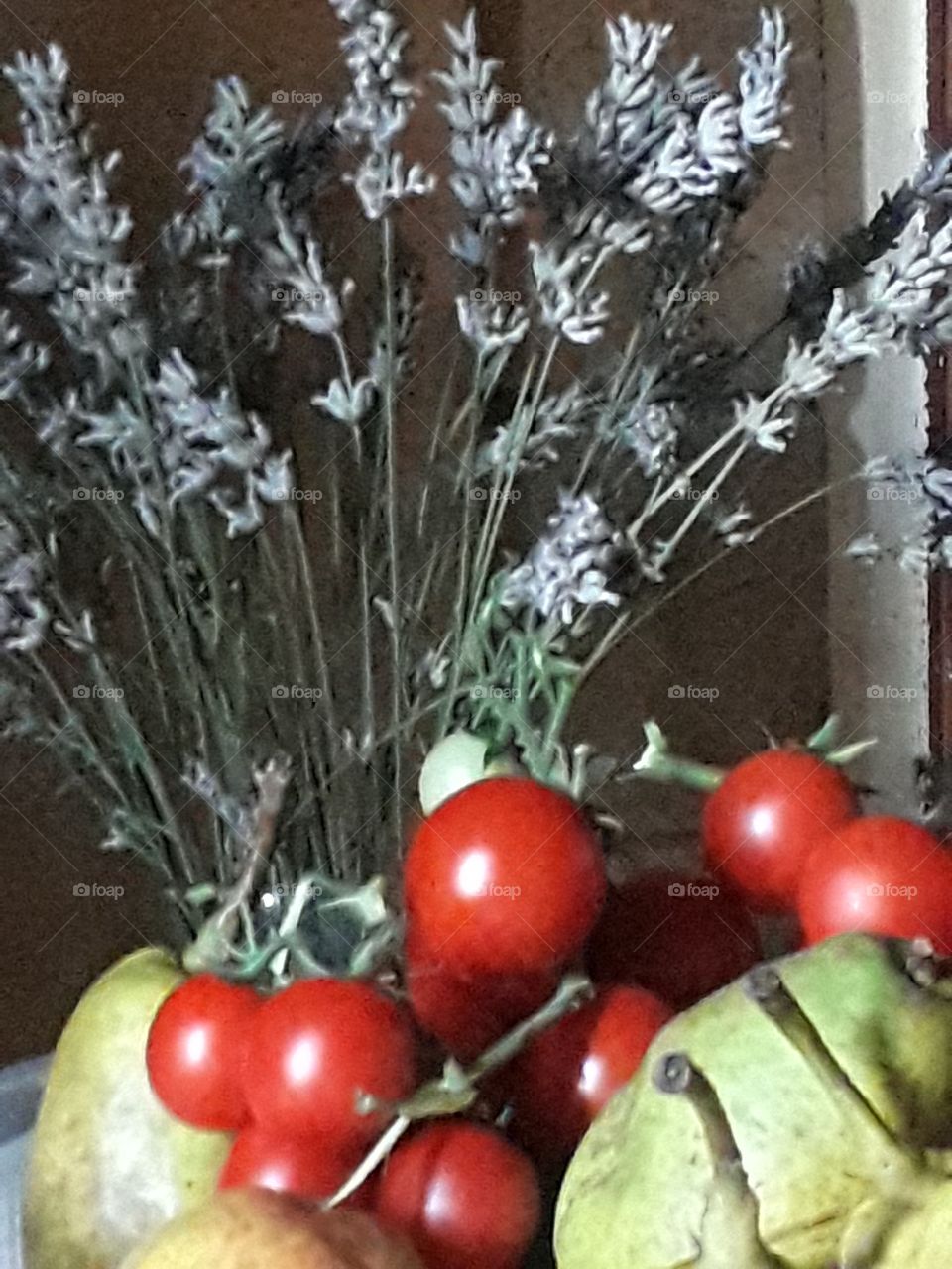 fruits of my country's land