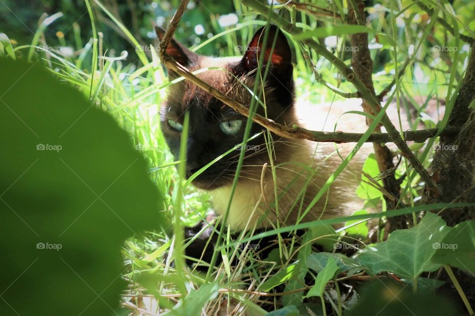 I like to be in the plants :) 