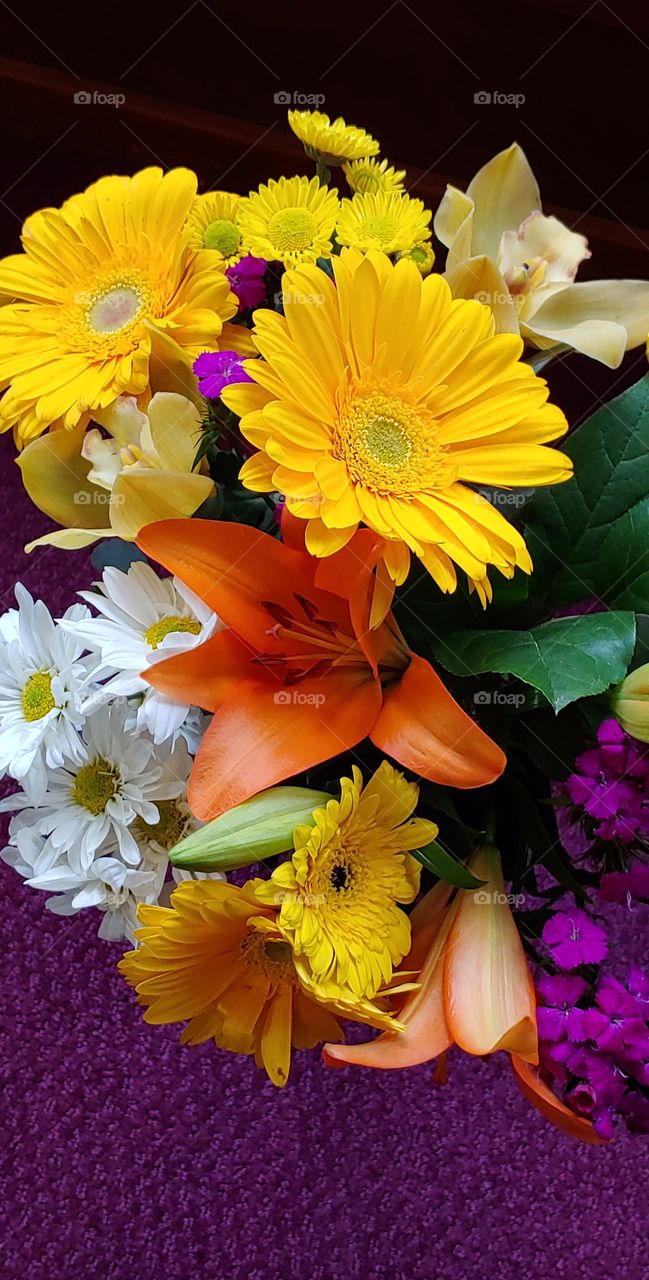 Vibrant colors and hues, compliments of mother nature.