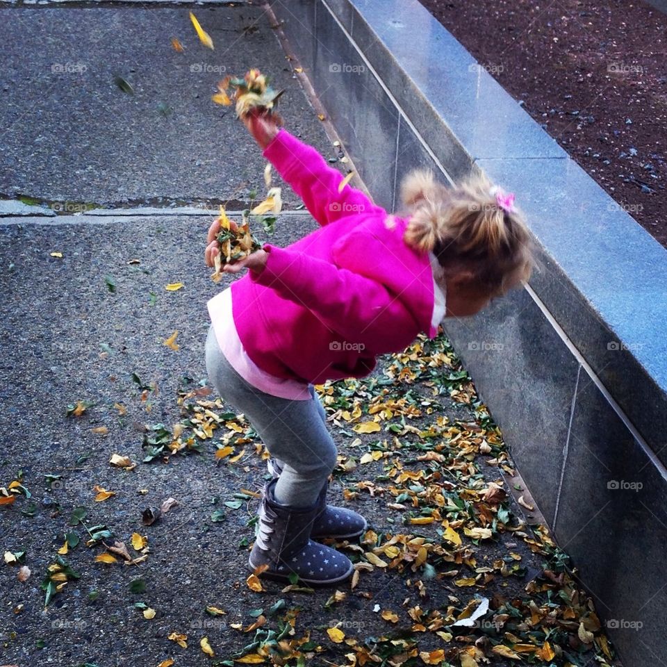 Fun with Leaves