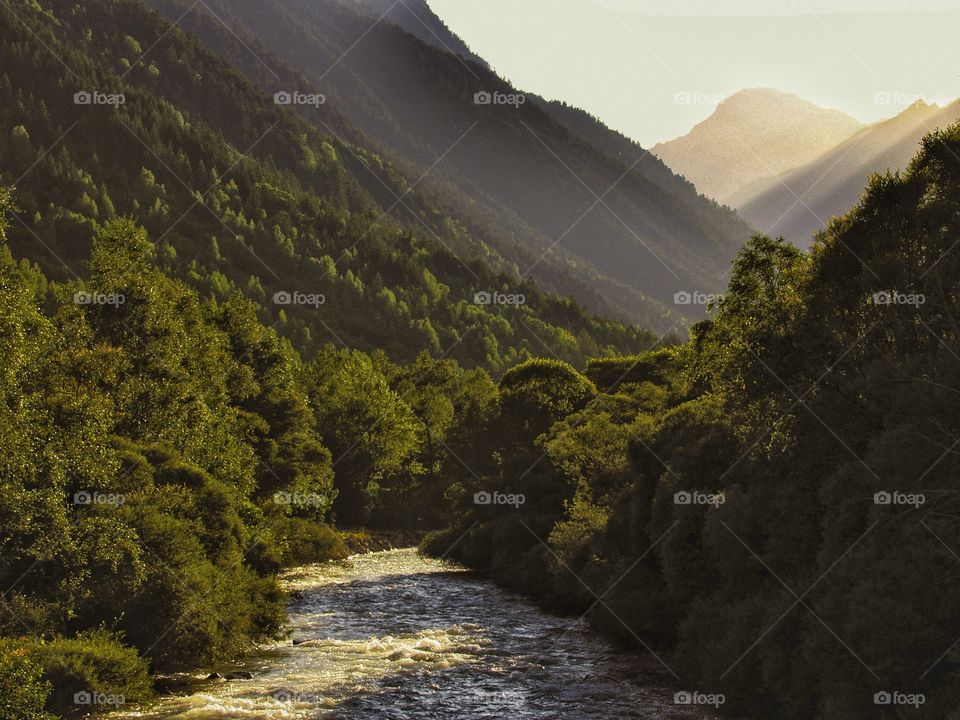 French Alps 