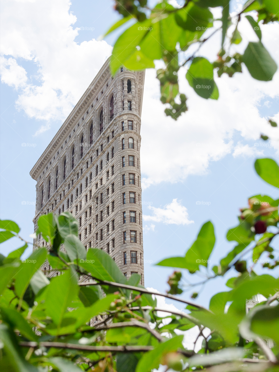 Flariton building with tree - NYC - New York City