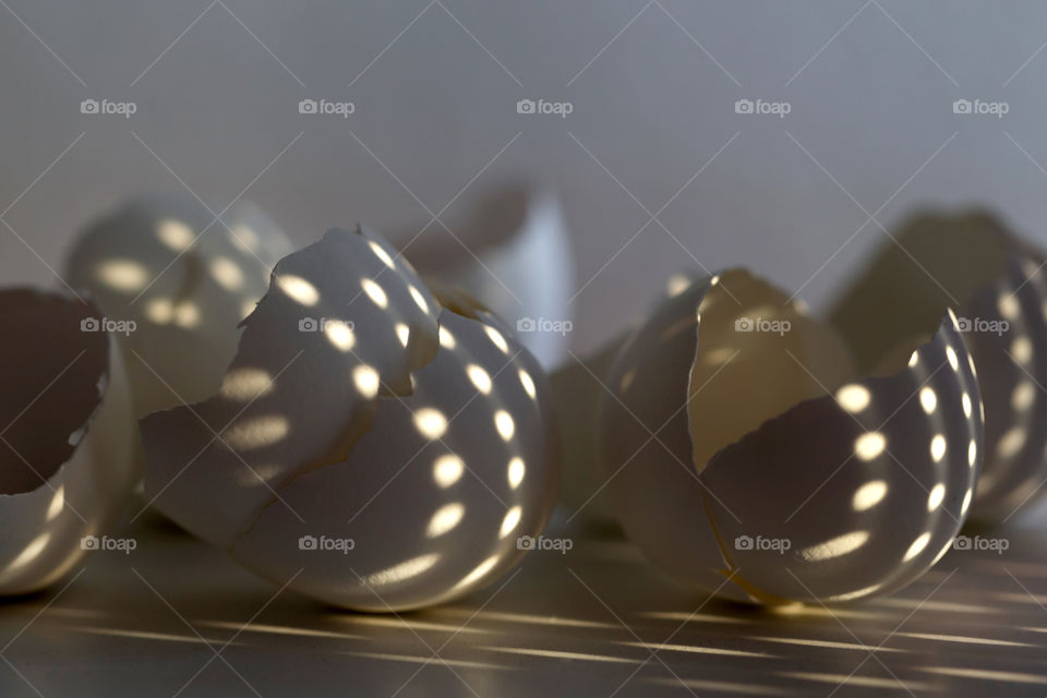 Egg shells with interesting sun shadows