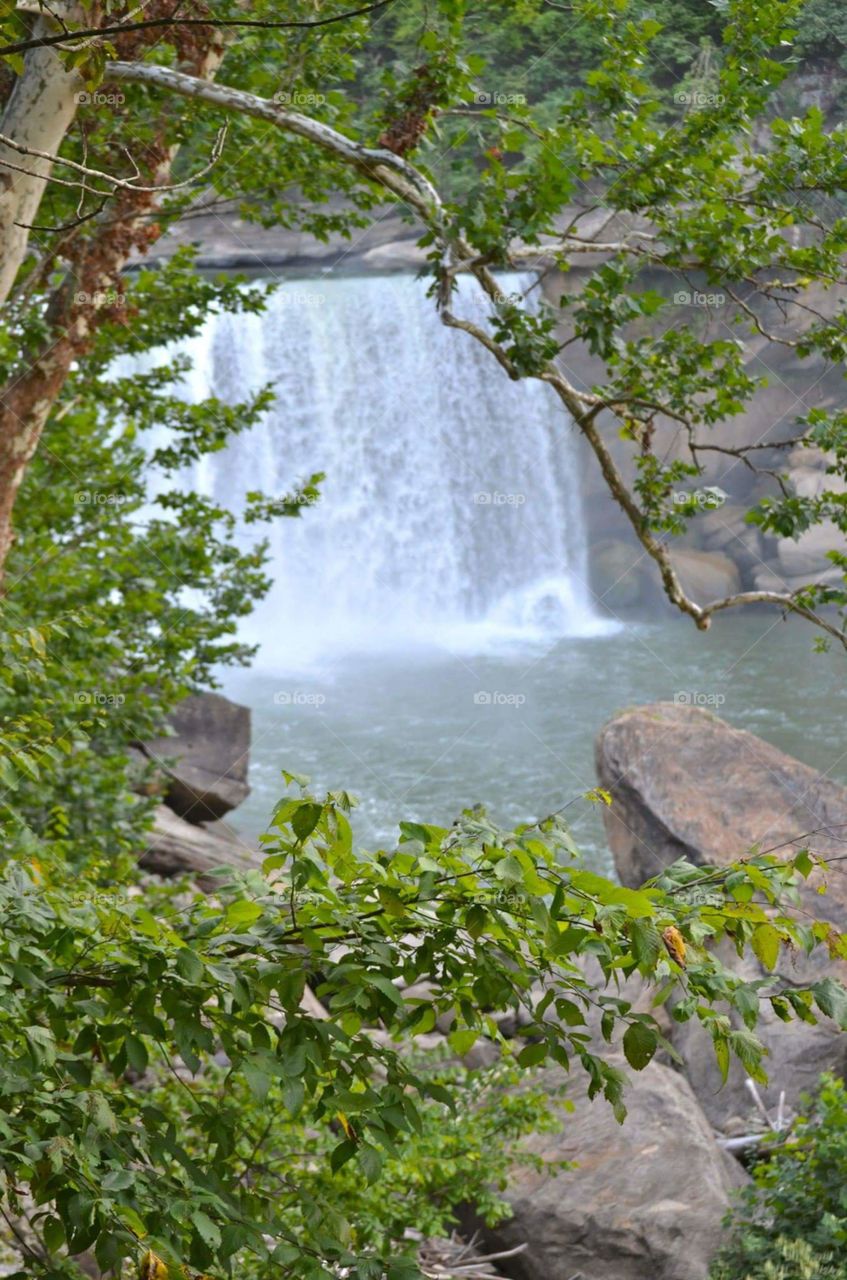 Water, Nature, Summer, Leaf, Outdoors