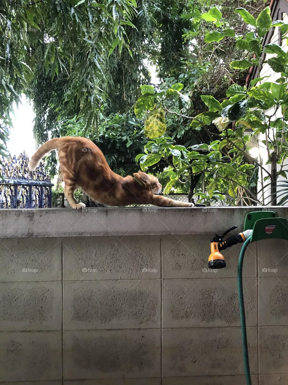 Stretching 