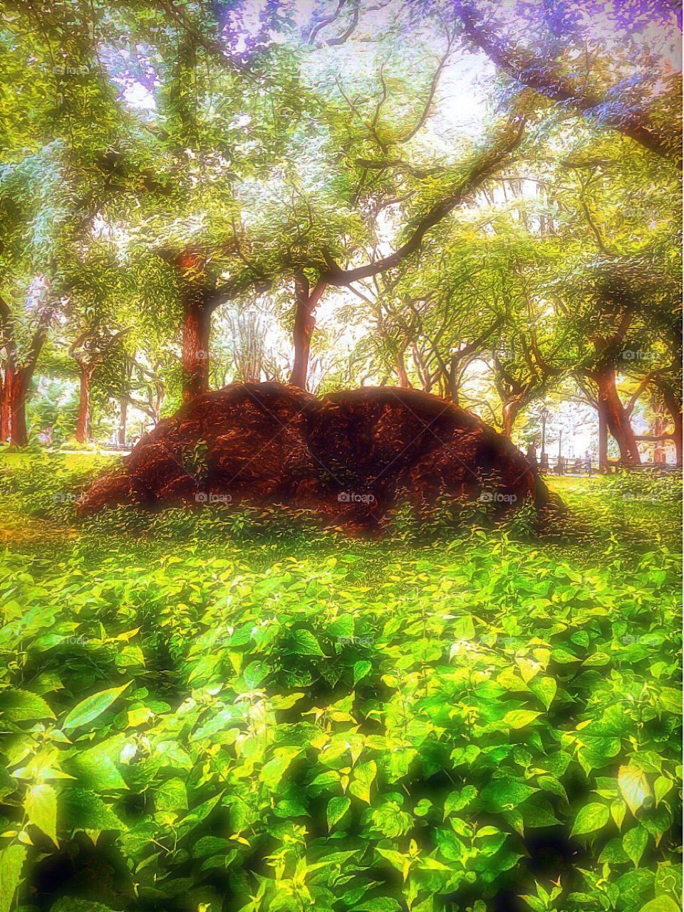 Nature/Landscape, 307th  Infantry Memorial Grove, Central Park, Manhattan, New York City. Instagram,@PennyPeronto