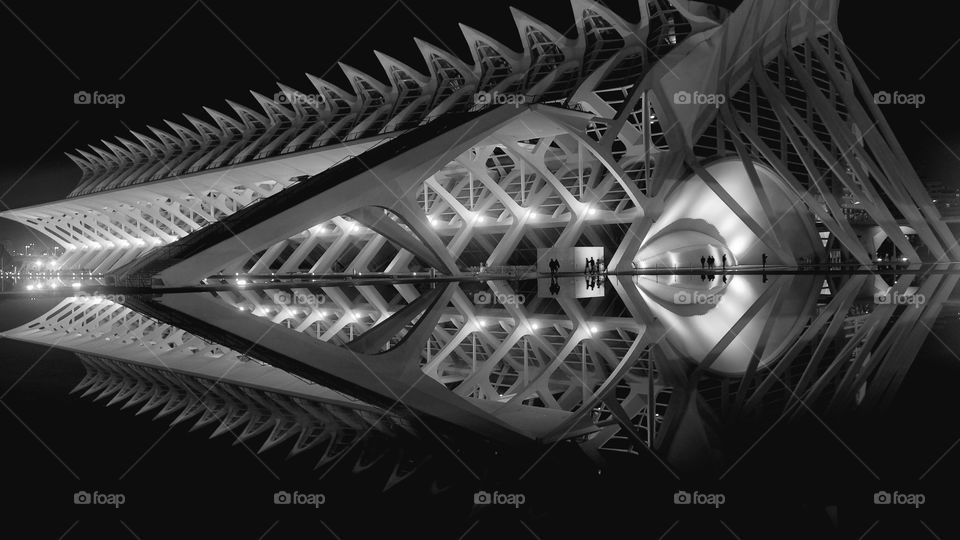 Ciudad de las Artes y las Ciencias 
City of Arts and Sciences