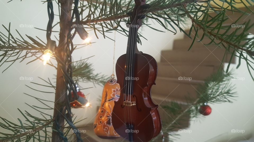 Christmas, No Person, Winter, Tree, Wood