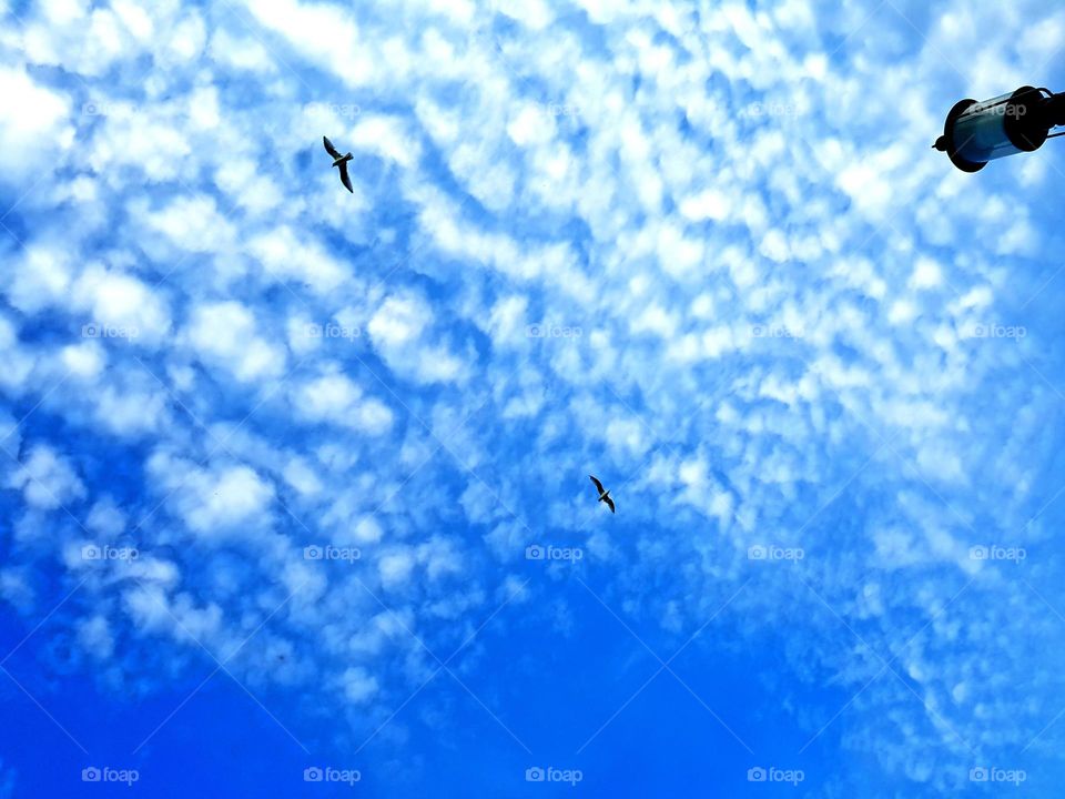 Blue sky and white clouds