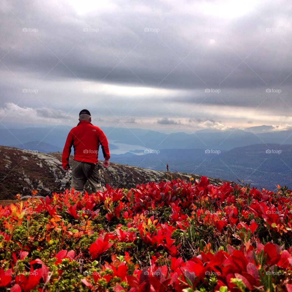 Hallingdal, Flå. Hiking in the beautiful fall mountains 