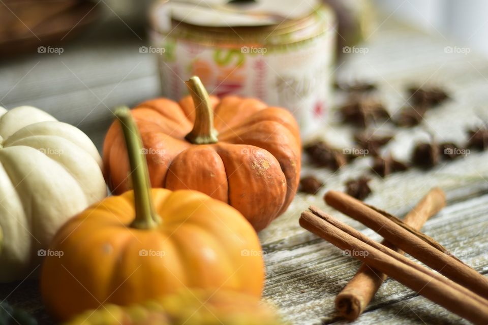 Pumpkin everything spices autumn seasonal colors fall