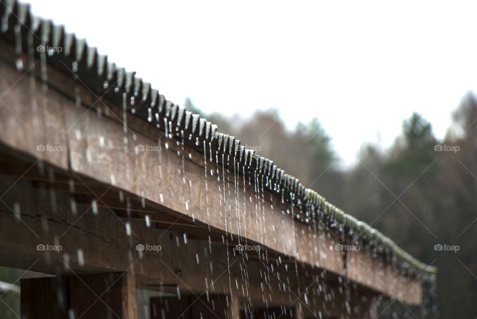 Dripping drops in spring