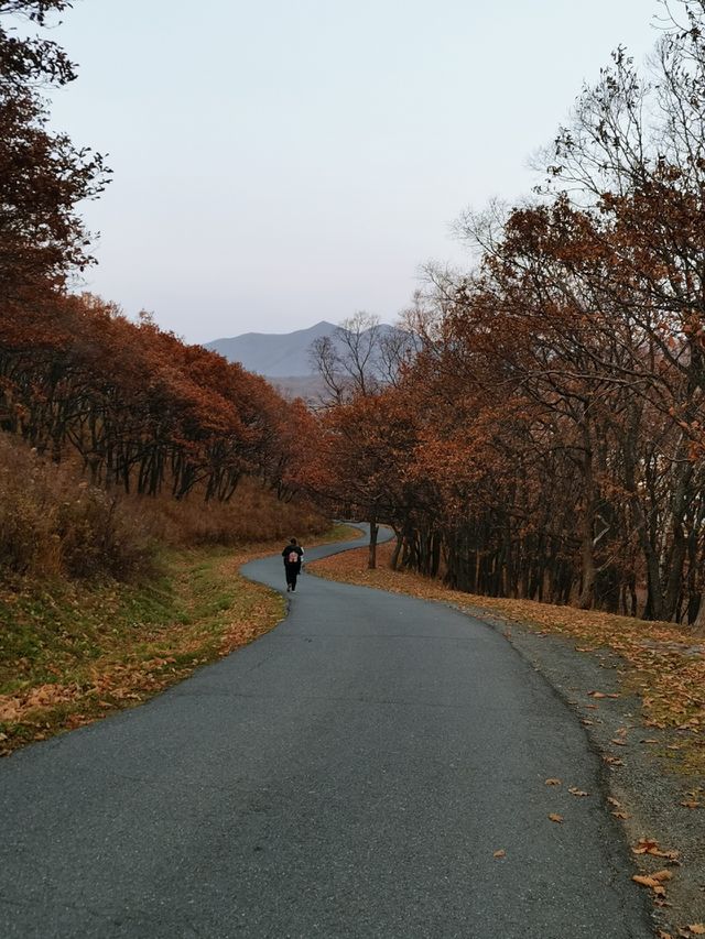 The Road to Home