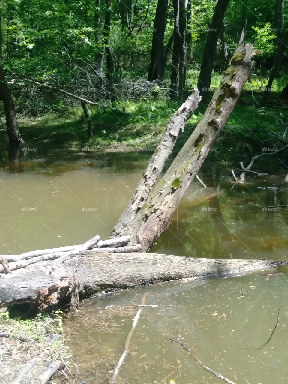 lake