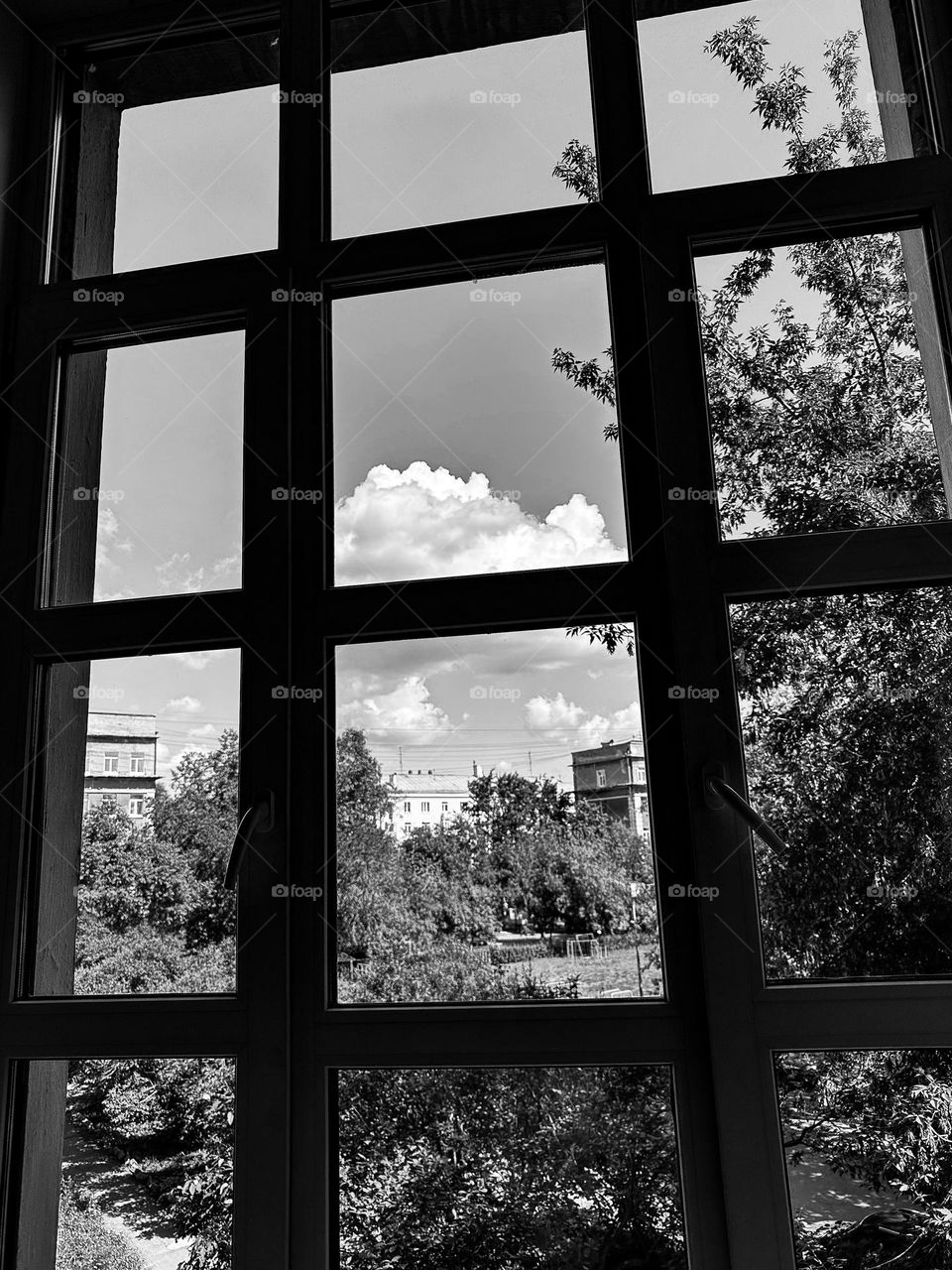 geometric panoramic windows