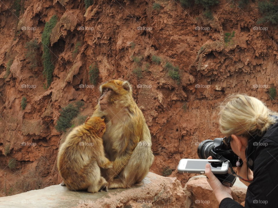 Shooting Wildlife - with a camera