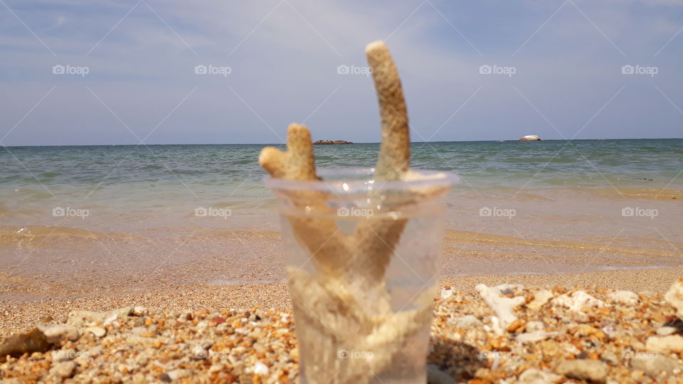 Dominance of Plastics
Neither left the beach