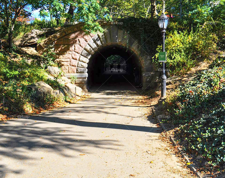 Central Park tunnel. interesting tunnel in Central Park, New York City. I think this was you in a scene from one of the home alone movies