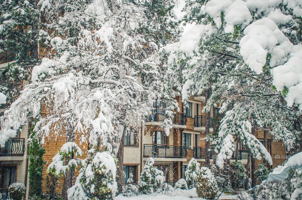 Winter Landscape, Rhodopes Mountain, Velingrad, Bulgaria