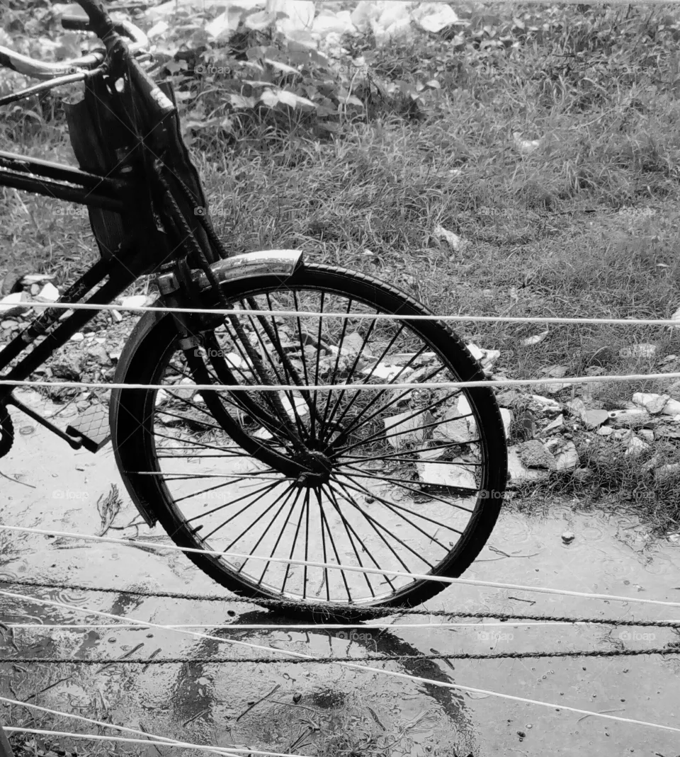 wheel