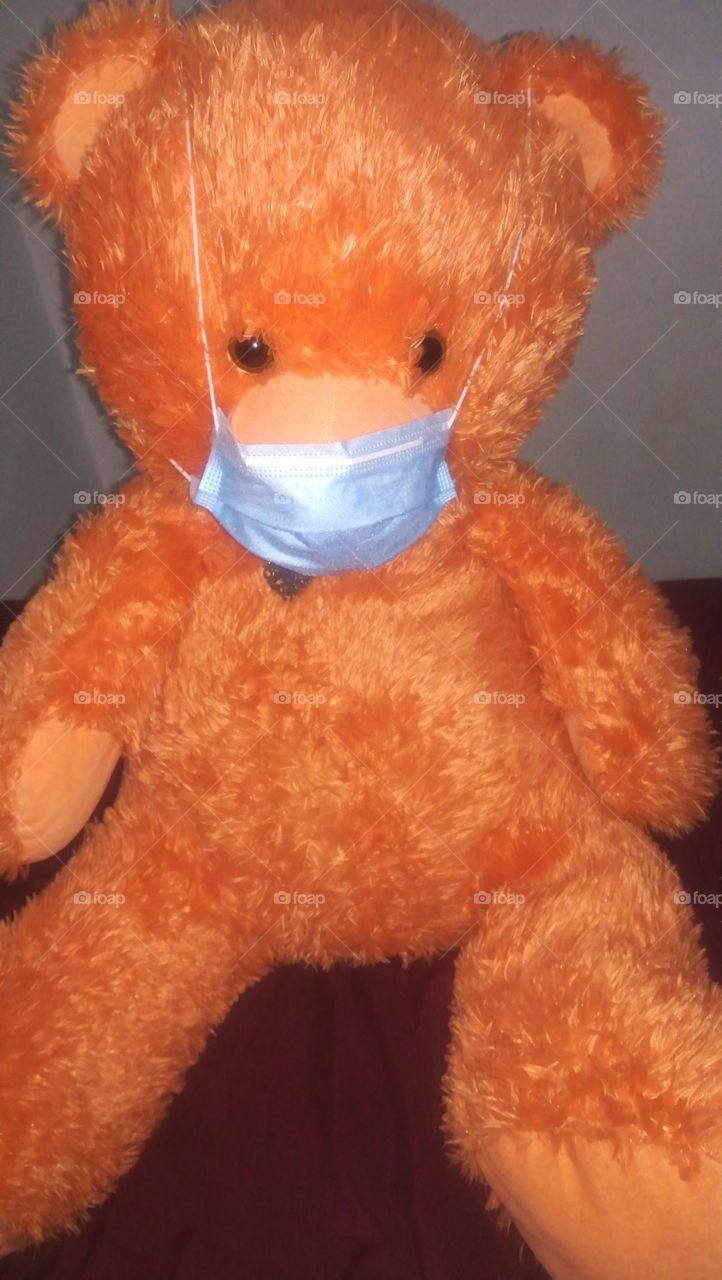 Mask teddy