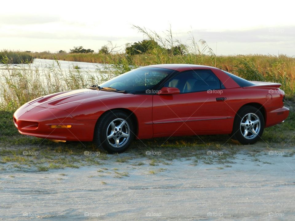 1997 Firebird Formula LT 1 . My new ride. 