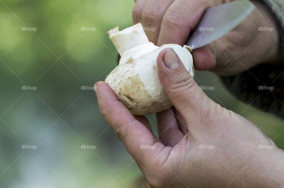 Close-up of mushroom on woman hand