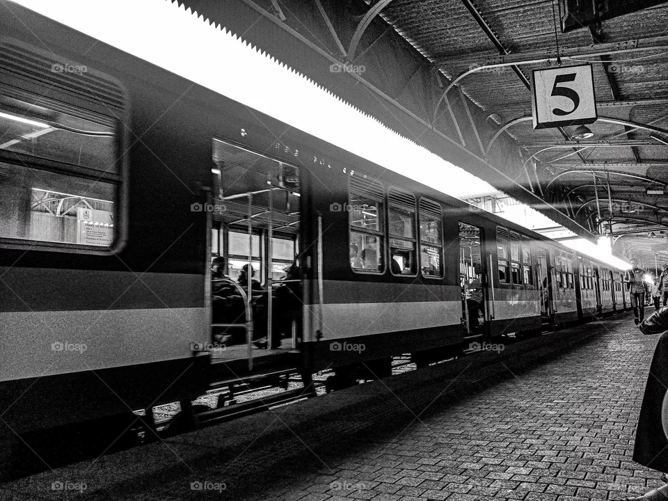 travel