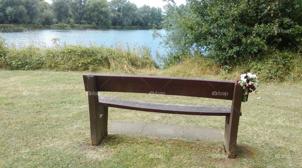 lake bench 1
