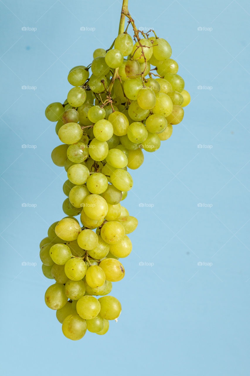 Branch of green grape isolated on blue background 