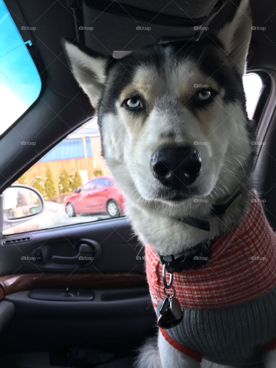 Don't judge my sweater