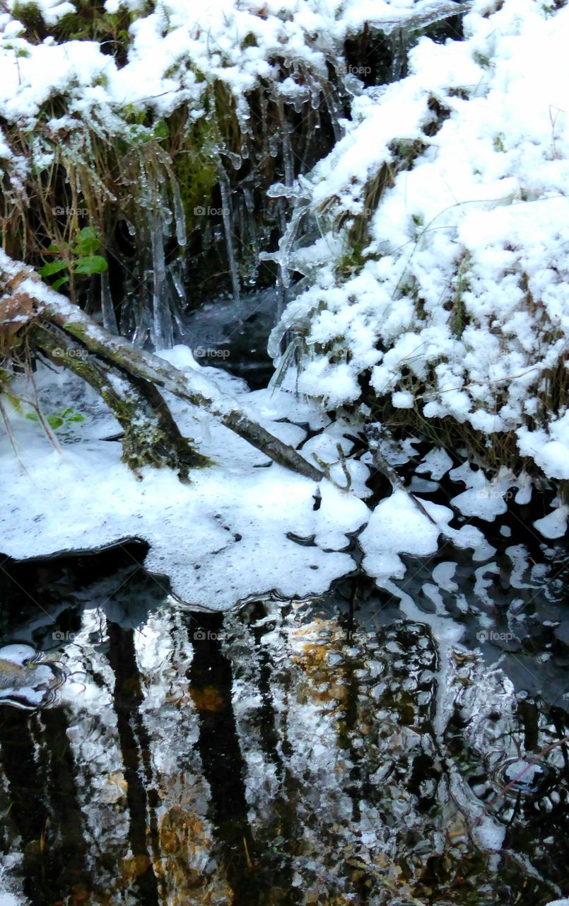 frozen brook