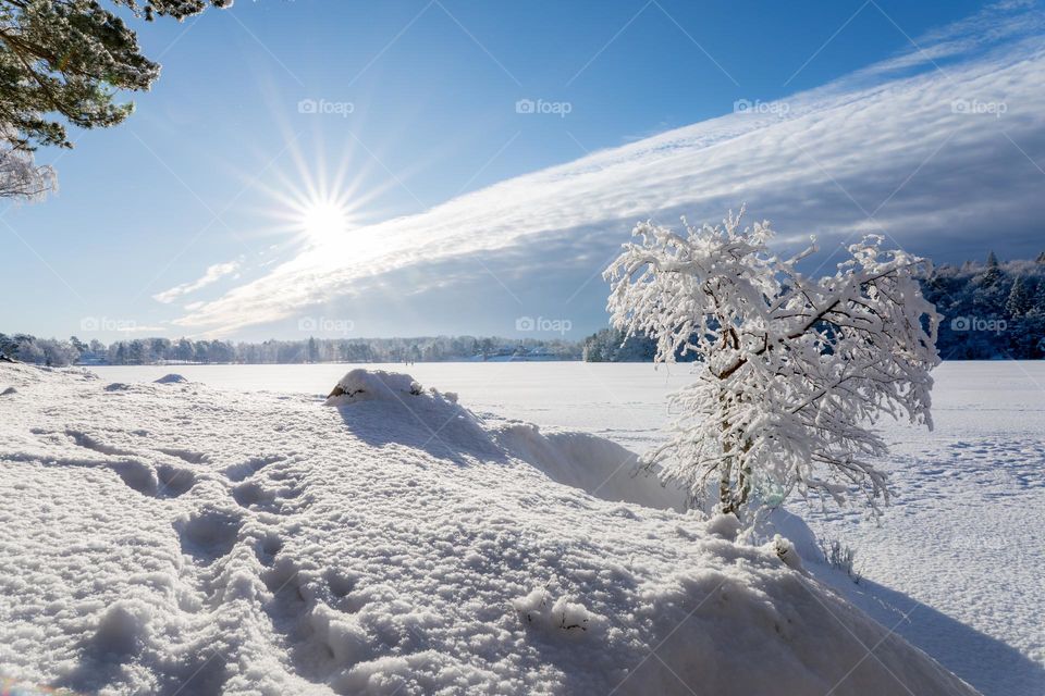 Sun shining on beautiful white snow covered landscape and tree on a cold winter day 