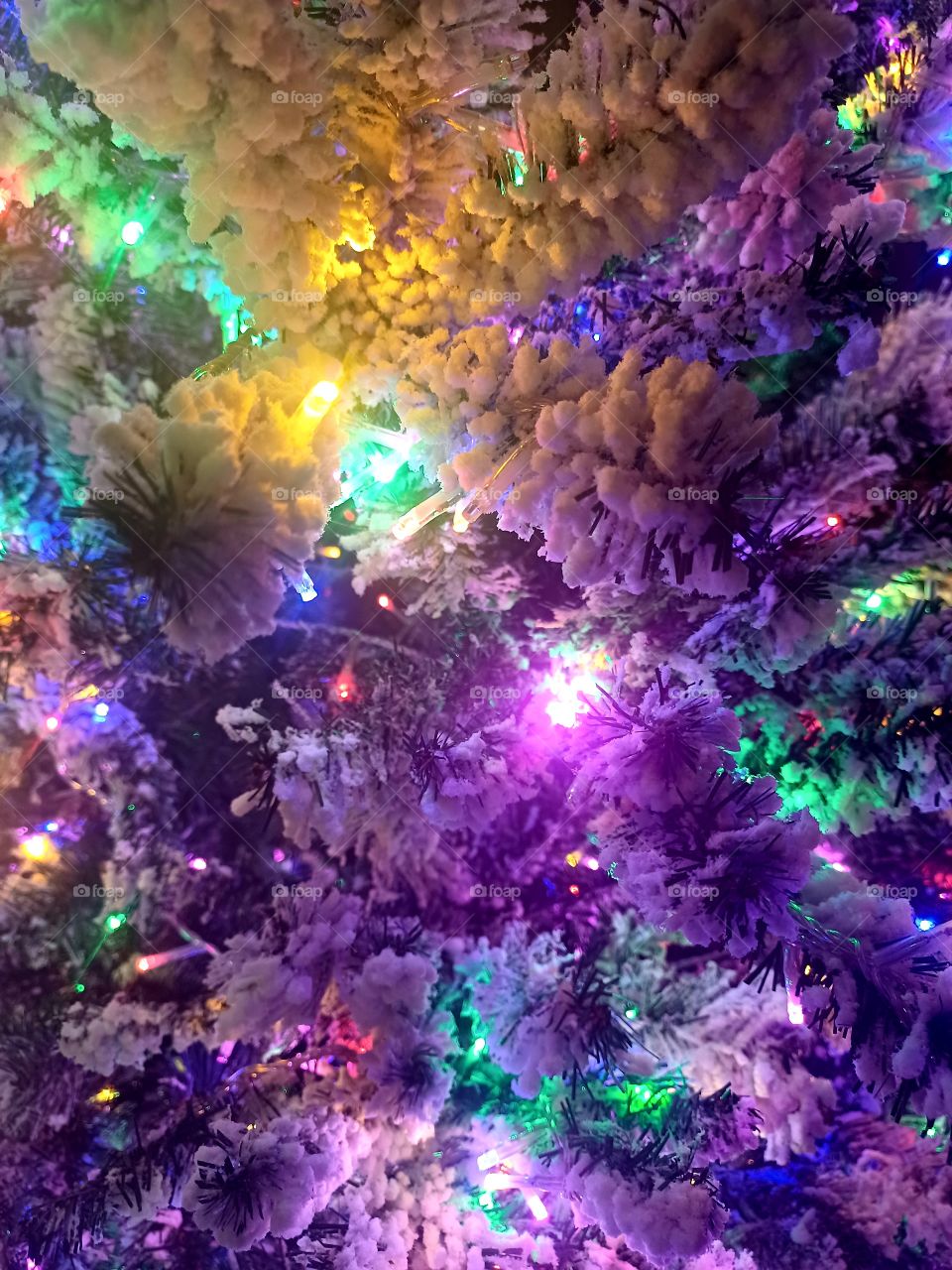 Preparing For Christmas