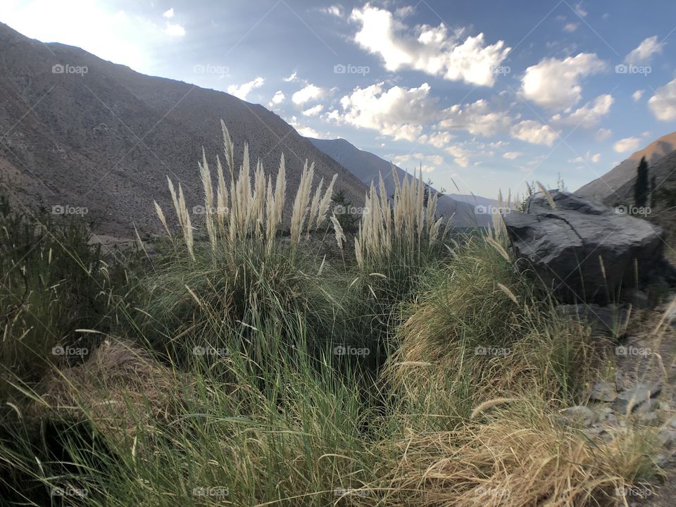 Sunset on the mountain