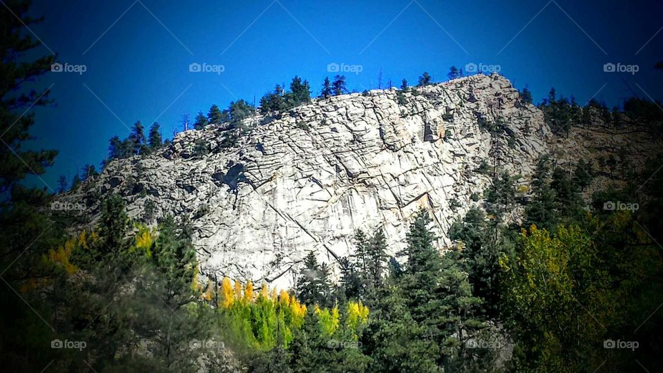 walking in the back yard