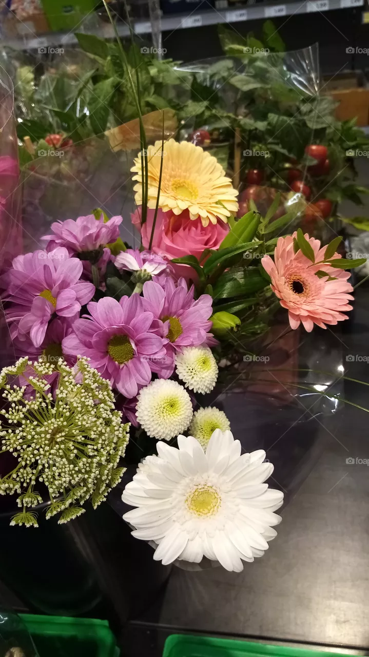 Blumen