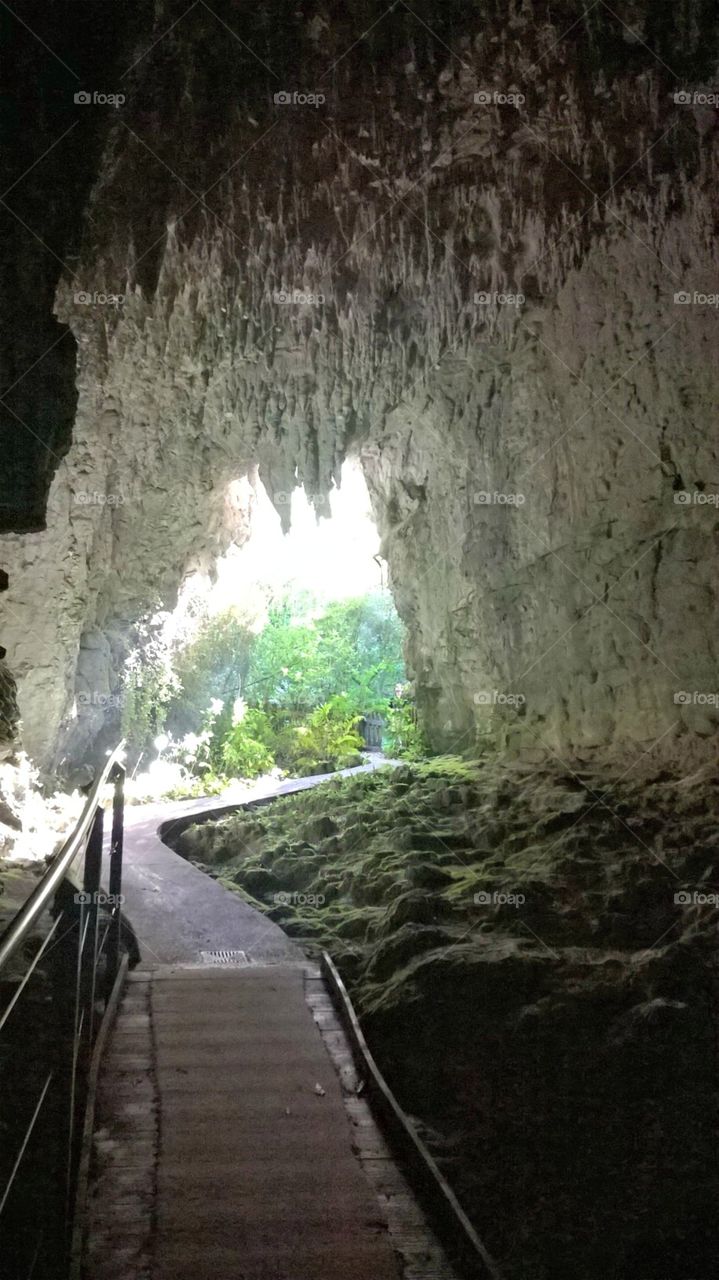 Waitomo Glowworm Cave Exit. February 2015