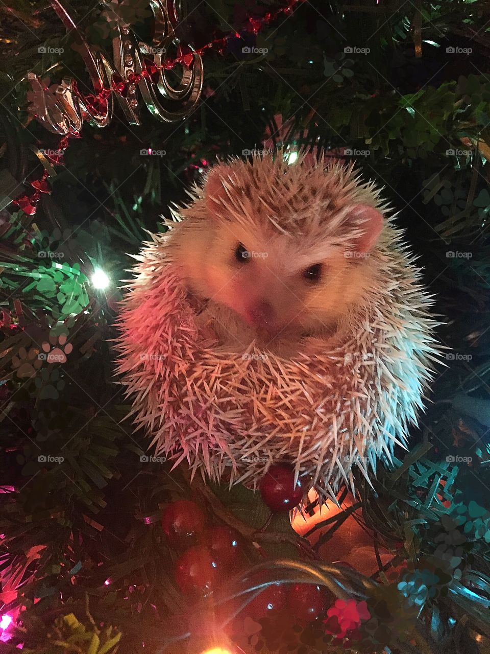 Spiky Christmas ornaments 