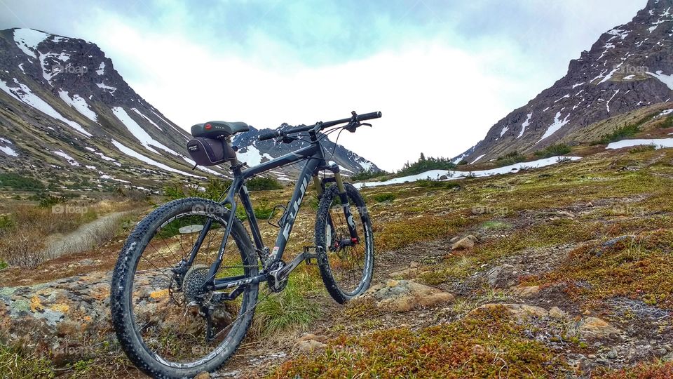 Mt bike in its element